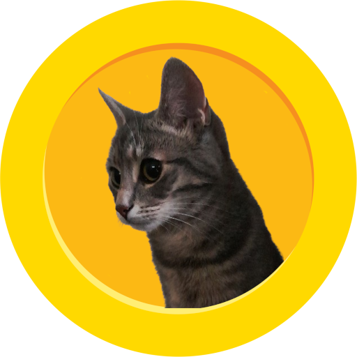 cat with neck coin